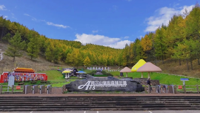 【阿尔山旅游发展】阿尔山市温泉街：推动服务型党组织与做好旅游服务融合发展